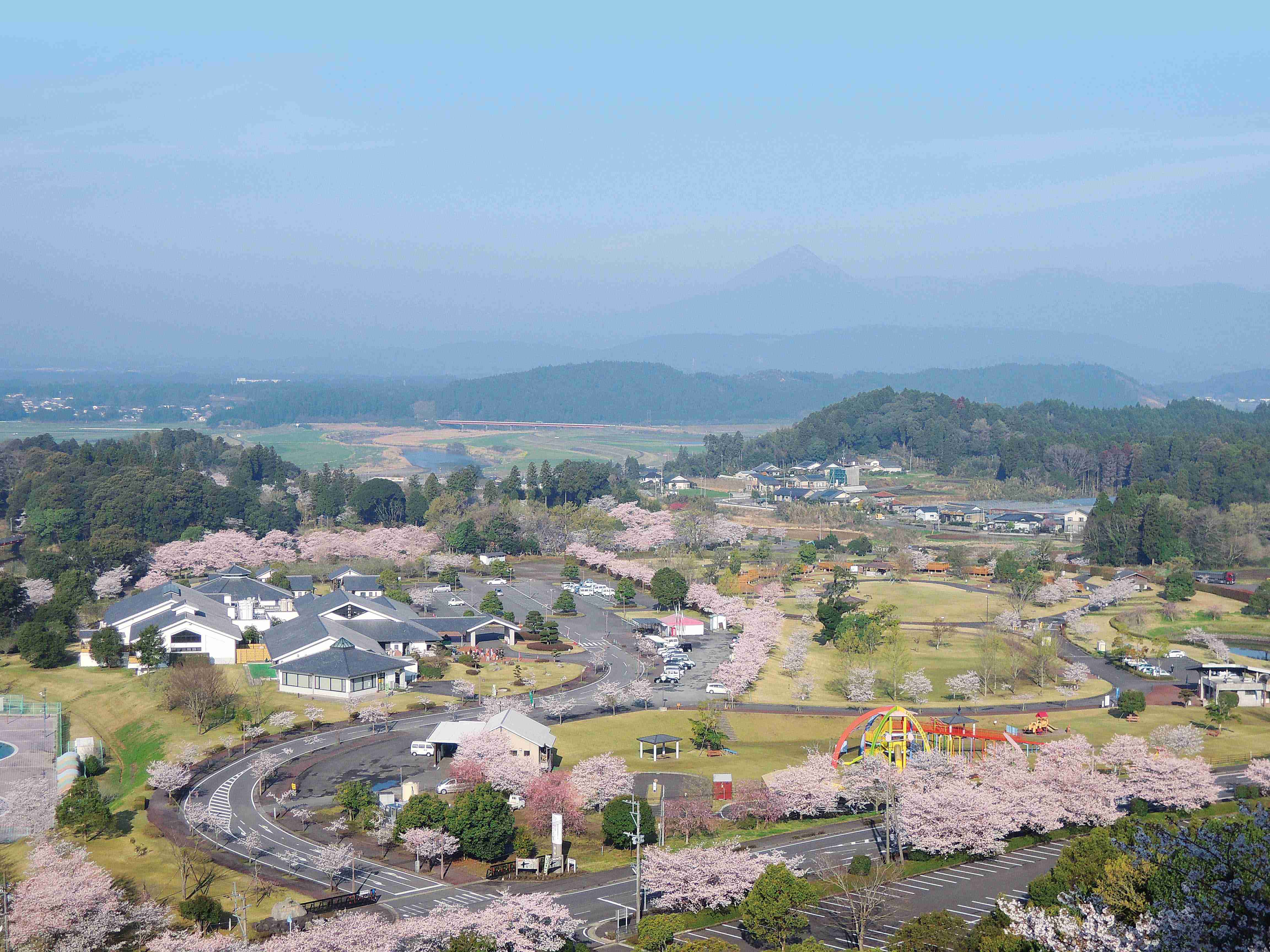 🏞️ 간논이케 공원(칸논이케 코우엔) 이미지 5